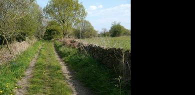 The Quiet Loneliness of Living in a City That Never Sleeps